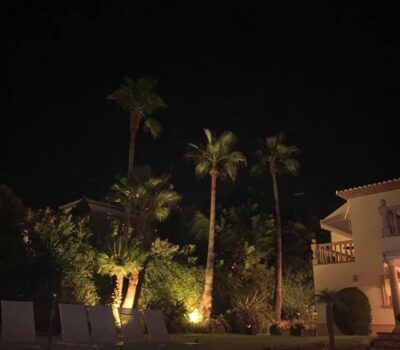 Jardin tropical de la Villa Jorge Larco à Jávea éclairé la nuit