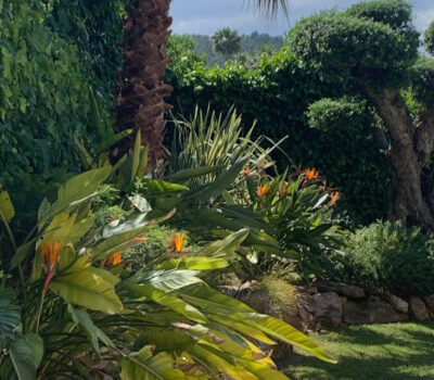 Jardin tropical et végétation de la Villa Jorge Larco à Jávea
