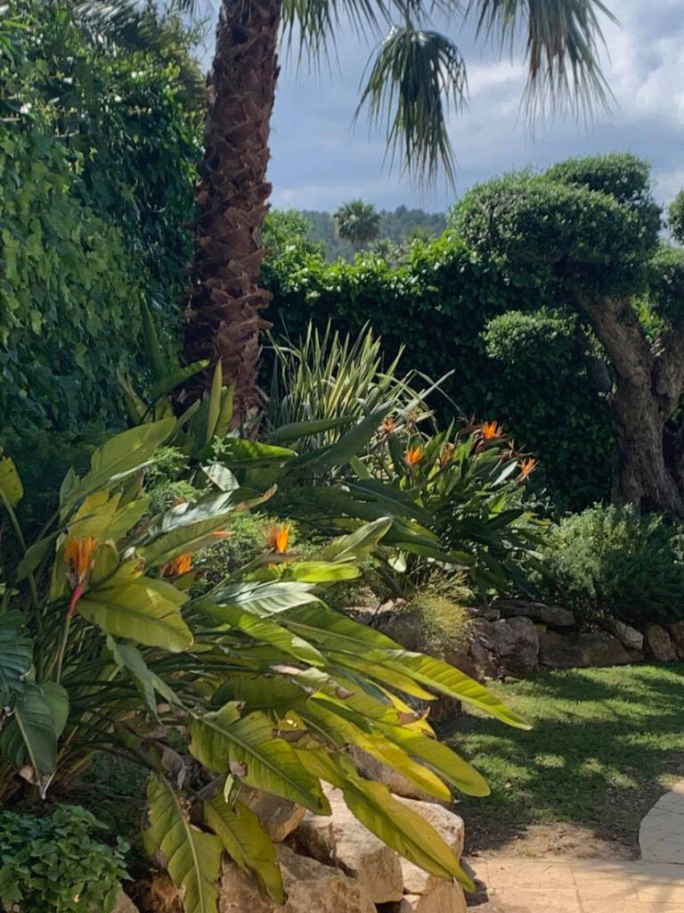 Jardin tropical et végétation de la Villa Jorge Larco